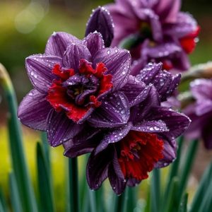 Нарцисс Минт Флер купить по цене от 2000р. в интернет-магазине «Посадика» с доставкой почтой в в  Башкортостане и по всей России – [изображение №1].